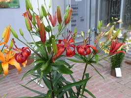 Foto: Dr. Peter Müller